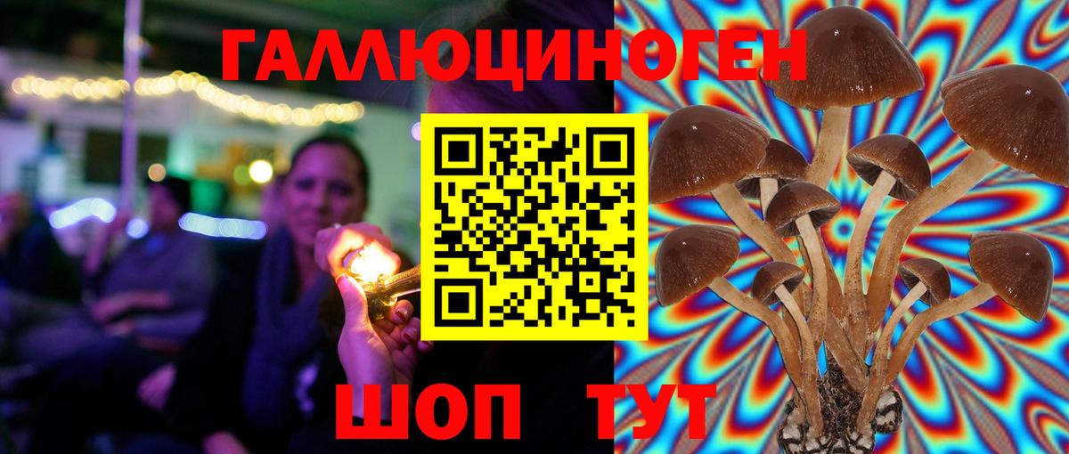 Галлюциногенные грибы GOLDEN TEACHER Комсомольск-на-Амуре