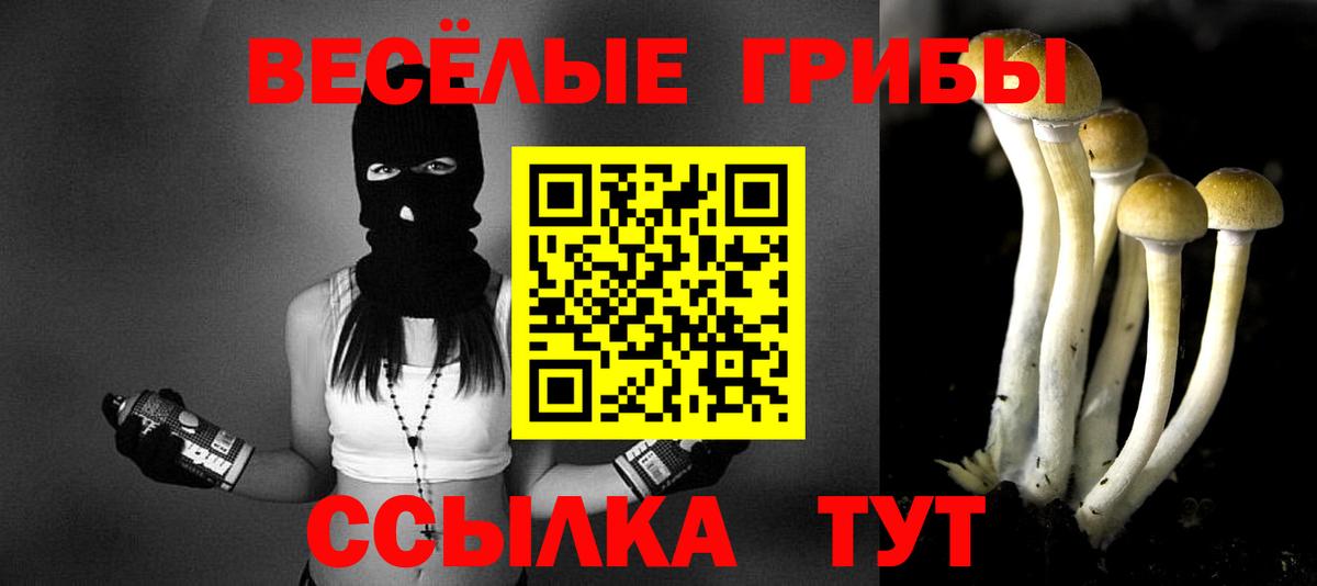 Комсомольск-на-Амуре  Галлюциногенные грибы Psilocybine cubensis  Вход с VPN 